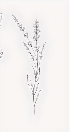 three different types of flowers are shown in this drawing, one is black and white