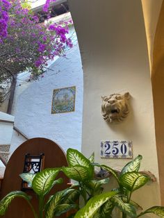 a house number sign on the wall next to a potted plant with purple flowers