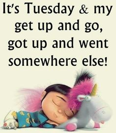 10 Funny Morning Tuesday Quotes Tuesday Quotes Funny, Tuesday Morning Quotes, Tuesday Funny, Tuesday Quotes Good Morning, Tuesday Images, Bon Mardi, It's Tuesday, Funny Images With Quotes, Happy Tuesday Quotes