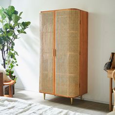 a tall wooden cabinet sitting next to a plant