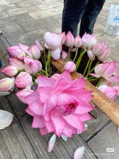 a bunch of pink flowers sitting on the ground next to a person's feet