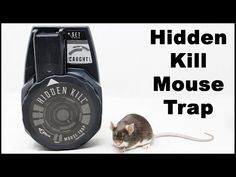 a mouse sitting next to a black and white tape dispenser with the words hidden kill mouse trap on it