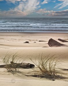 the beach is covered in sand and grass