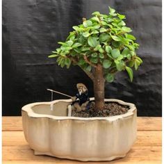 a bonsai tree in a pot with a man sitting on the ground next to it