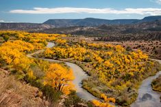 a river running through a valley surrounded by trees with yellow leaves on the banks and mountains in the background