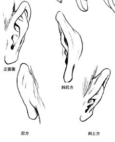 an image of different types of hands drawn in chinese characters, including fingers and thumbnails