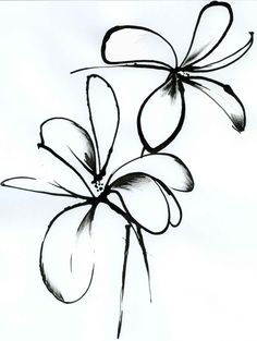 a drawing of three flowers on a white background