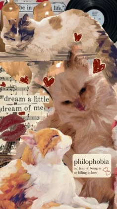 a collage of cats with hearts on their heads and music sheets in the background