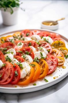 tomatoes and mozzarella on a white plate