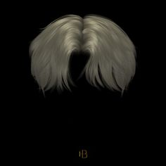 two long white hair with the letter b in gold lettering on a black background,