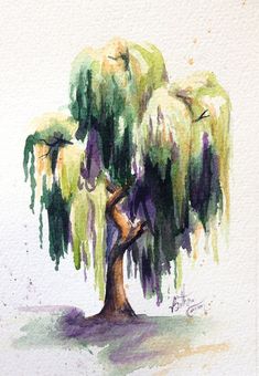 a watercolor painting of a weeping tree