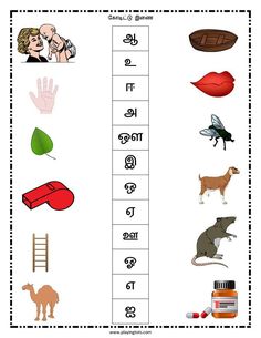 a worksheet with words and pictures for children