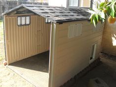 an outdoor storage shed in front of a house with oranges hanging from the tree