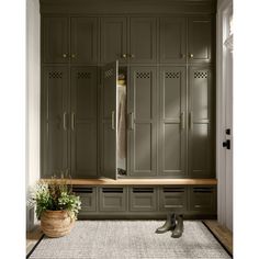 a room with green cabinets and a white rug on the floor next to a potted plant