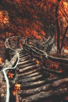 an old wooden staircase in the woods with fall foliage around it and trees turning red