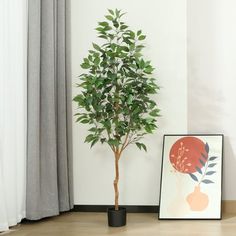 a potted plant sitting next to a framed photograph on the floor in front of a window