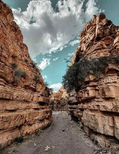 an image of a canyon with rocks and trees in the foreground, under a cloudy blue sky