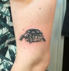 a small turtle tattoo on the right arm