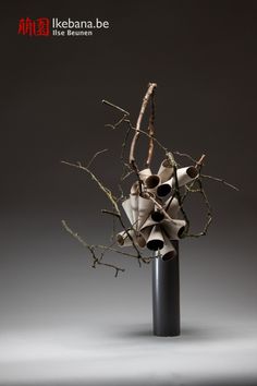 a vase that has some branches in it