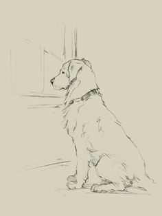 a drawing of a dog sitting in front of a window