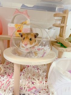 a hamster in a glass bowl sitting on top of a table surrounded by toys