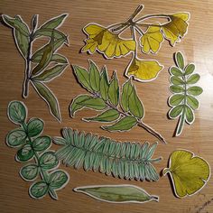 some stickers that are on top of a wooden table with leaves and plants in them