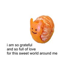 an orange with a face drawn on it and the words i am so grateful and so full of love for this sweet world around me