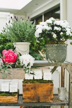 flowers are on display at an outdoor wedding reception in the sunlit garden area with seating cards and place cards