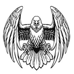 an eagle with wings spread out in front of a white background and black outline on the back