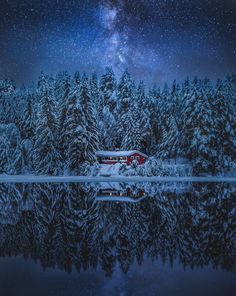 the night sky and stars above a snowy forest with trees in front of it, reflecting on water