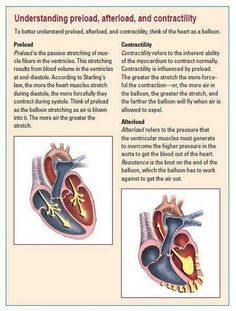 an image of the inside of a heart