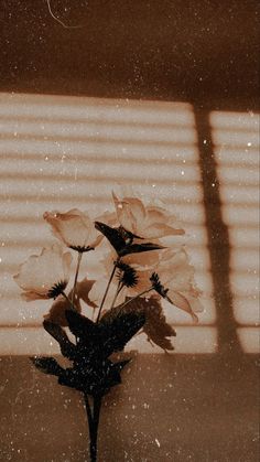 a vase filled with flowers sitting on top of a wooden table next to a window