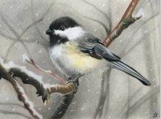 a bird sitting on top of a tree branch in the snow with leaves around it