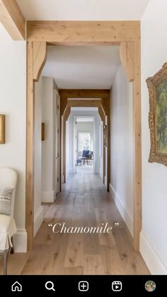 the hallway is clean and ready to be used as an entrance way for someone's home