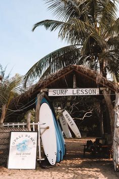 several surfboards are lined up in front of a sign that says surf lesson on it