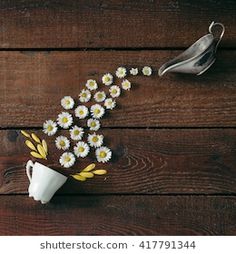 daisies and teapot on wooden table top view from above with space for text