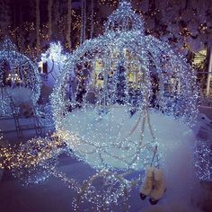 a white horse drawn carriage covered in blue christmas lights at night with people walking by