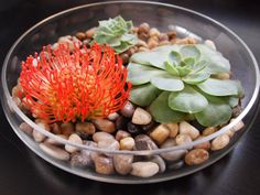 a glass bowl filled with rocks and plants