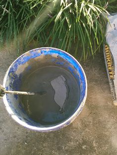 a blue bucket filled with water next to a plant and a book on the ground