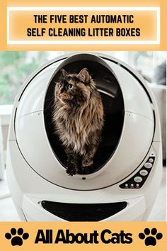 the five best automatic self cleaning litter boxes