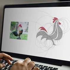 a person typing on a laptop computer with a rooster drawing on the screen next to them