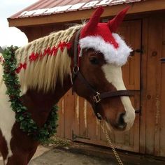 a brown horse wearing a santa hat next to a wooden building with red and white trim