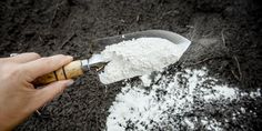 a person holding a knife and scooping out some white powder from a large shovel