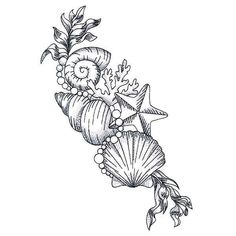 an ink drawing of seashells and starfish on a branch with leaves, flowers and berries