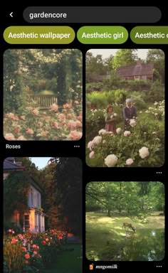 four different pictures of flowers and trees in the same photo, each with their own name