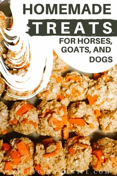 homemade treats for horses, goats and dogs with text overlay that reads homemade treats for horses, goats and dogs