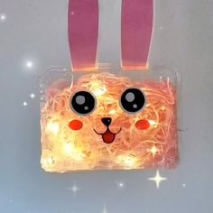 a plastic bag with some lights in it and a bunny face on the inside of it