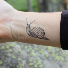 a small snail tattoo on the wrist