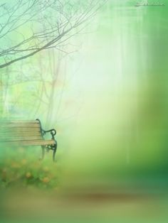 a bench sitting in the middle of a park with trees and grass on both sides