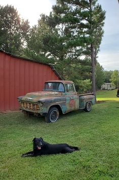 an old truck parked next to a black dog laying on the grass in front of it